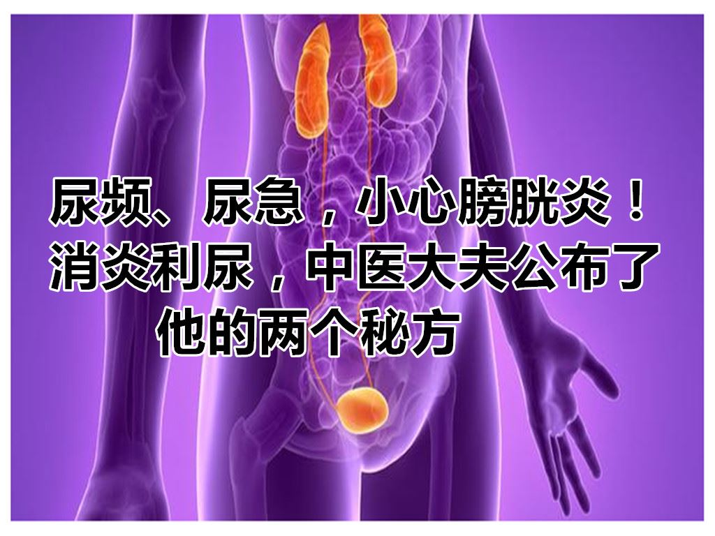 別再憋尿！女生膀胱炎超常見，小心引起腎臟發炎 - 今周刊